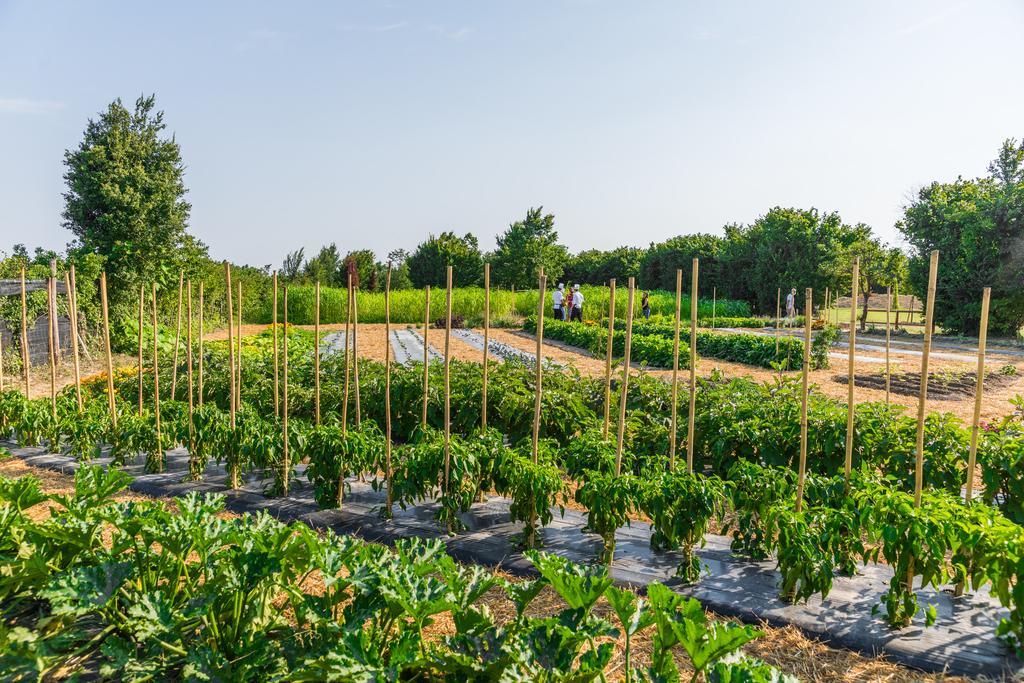 La Posa Degli Agri Bed & Breakfast Legnaro Ngoại thất bức ảnh